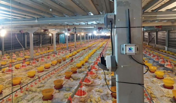 Foto/Dok-XlAxiata/ECONOMICZONE