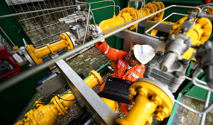 Foto/Roni.M/ECONOMICZONE