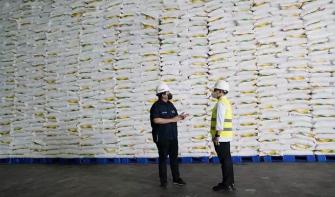 Foto/Dok-PTPNXII/ECONOMICZONE