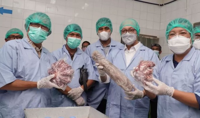 Foto/Dok-RNI/ECONOMICZONE