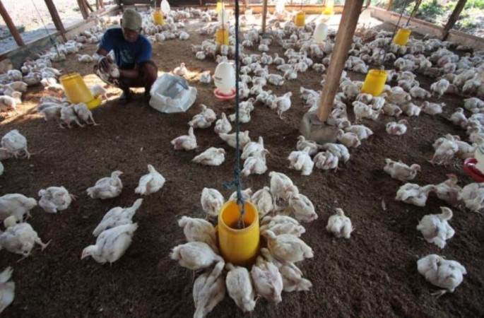 Foto/EndangMuchtar/ECONOMICZONE