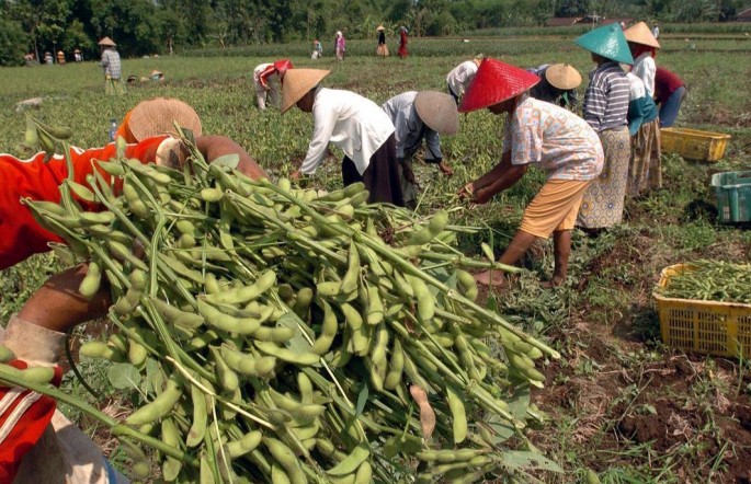 Foto/Endang Muchtar/ECONOMICZONE