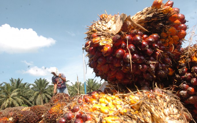 Foto/Endang Muchtar/ECONOMICZONE