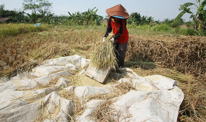 Foto/Endang Muchtar/ECONOMICZONE