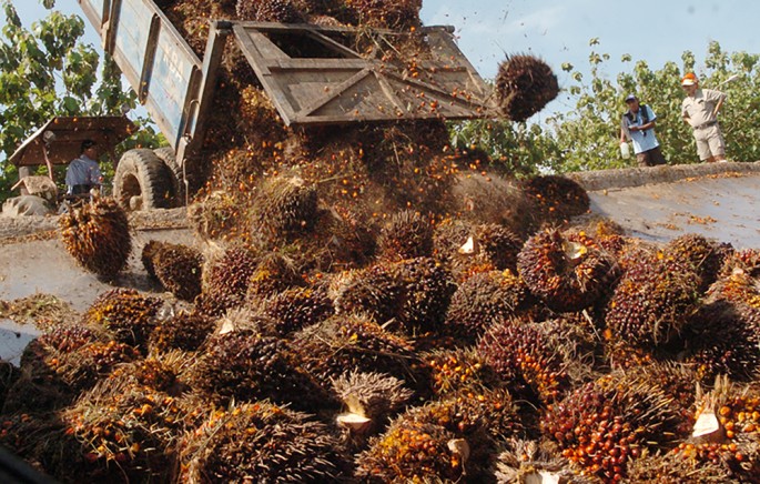 Foto/Endang Muchtar/ECONOMICZONE