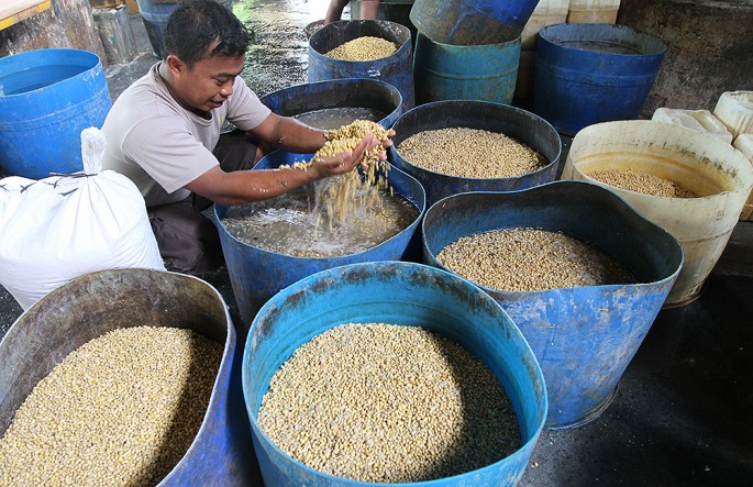 Perajin tahu-tempe membersihkan kacang kedelai salah satu usaha rumahan, di Ciputat, Tangsel, belum lama ini. (Foto/Endang Muchtar/ECONOMICZONE)