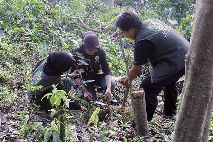 Foto/dok . kemenhut/ECONOMICZONE