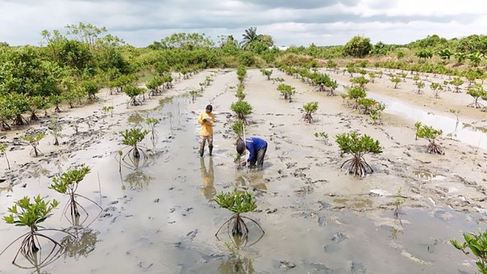 Foto/dok. kemenhut/ECONOMICZONE
