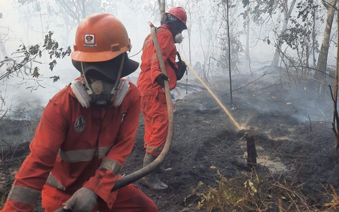 Foto/dok. kemenhut/ECONOMICZONE