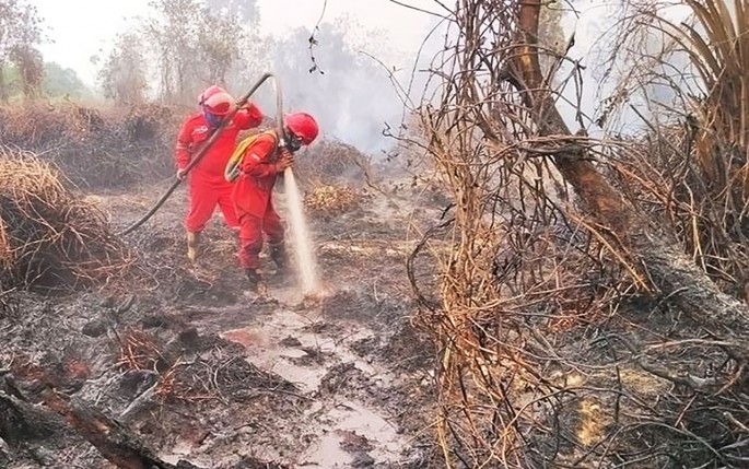 Foto/dok . kemenhut/ECONOMICZONE