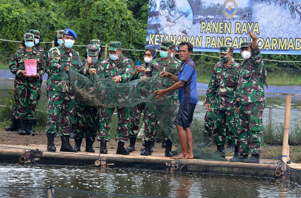 Panen Udang Vaname di Tambak Koarmada I 