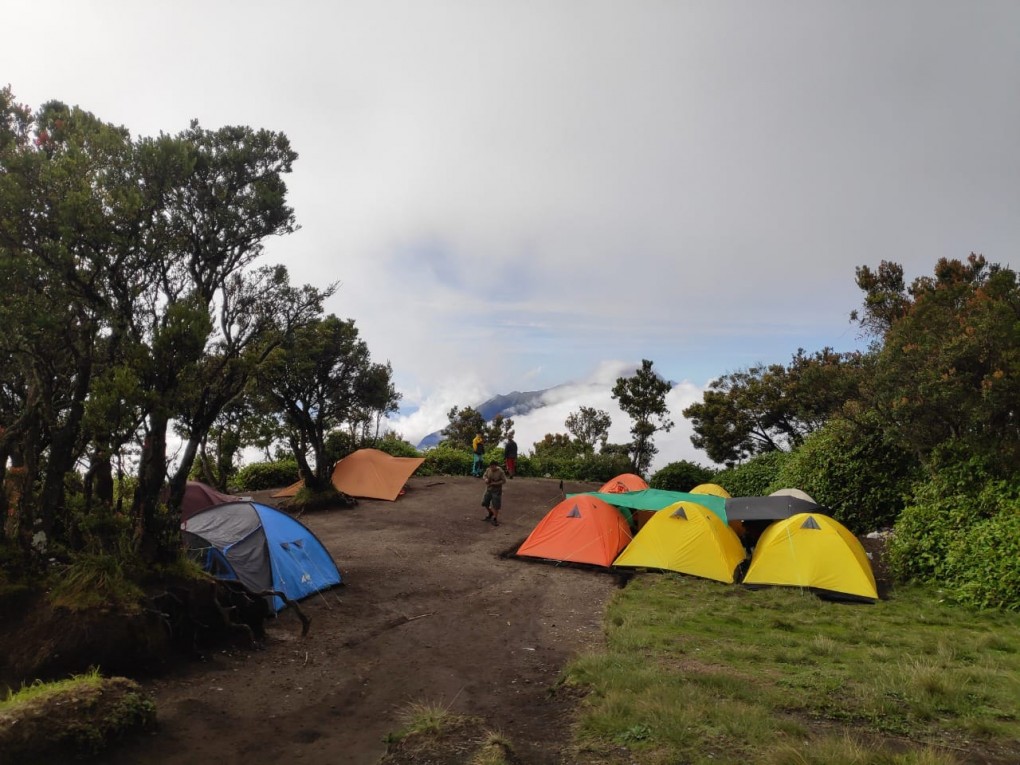 Menikmati Sabana di Puncak Merbabu