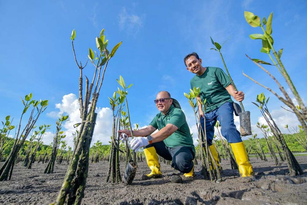 Peringati Hari Bumi Sedunia, Bank BSN Hijaukan Pesisir Bali dengan 1.150 Bibit Mangrove