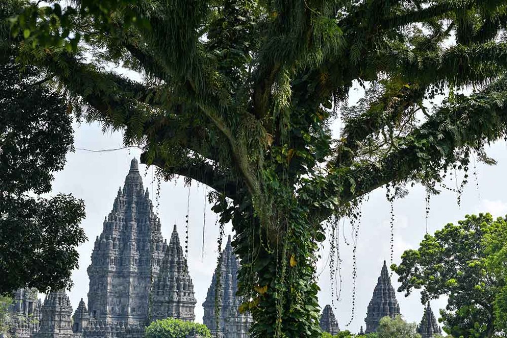 Candi Prambanan Tampil Asri di Balik Rindangnya Alam