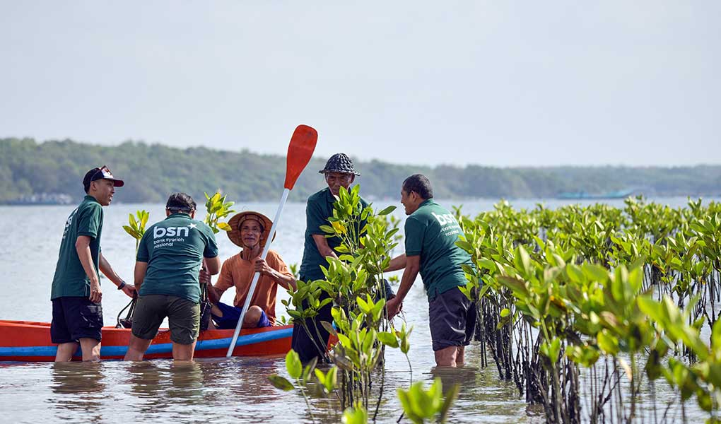 Hari Mangrove Sedunia 2026, Bank BSN Dorong Pelestarian Ekosistem Pesisir