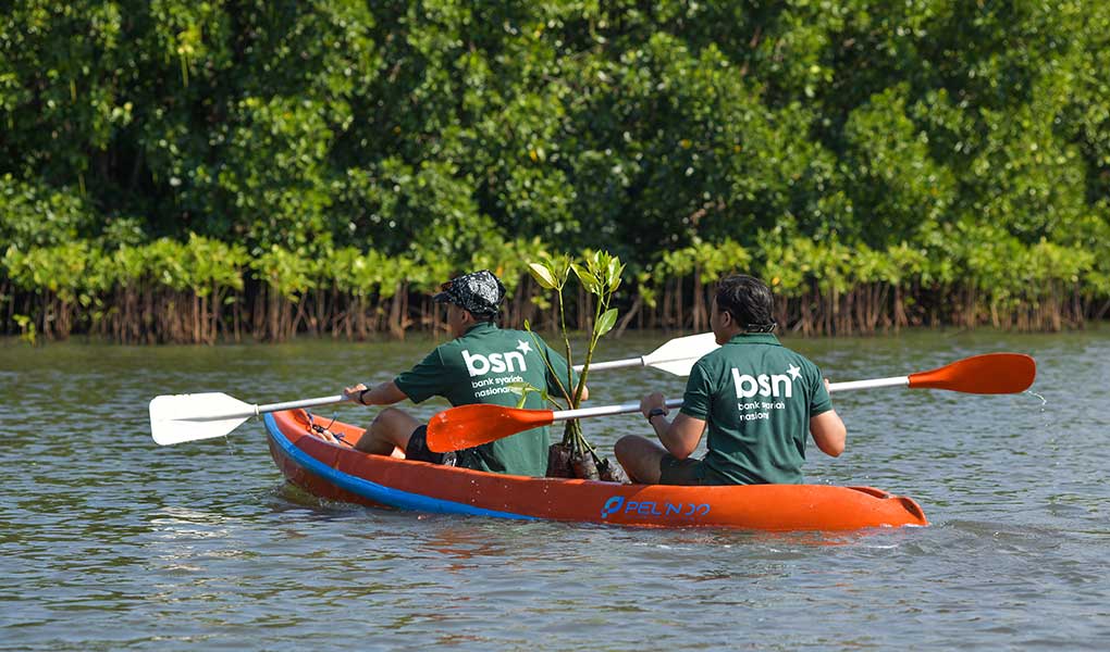 Hari Mangrove Sedunia 2026, Bank BSN Dorong Pelestarian Ekosistem Pesisir