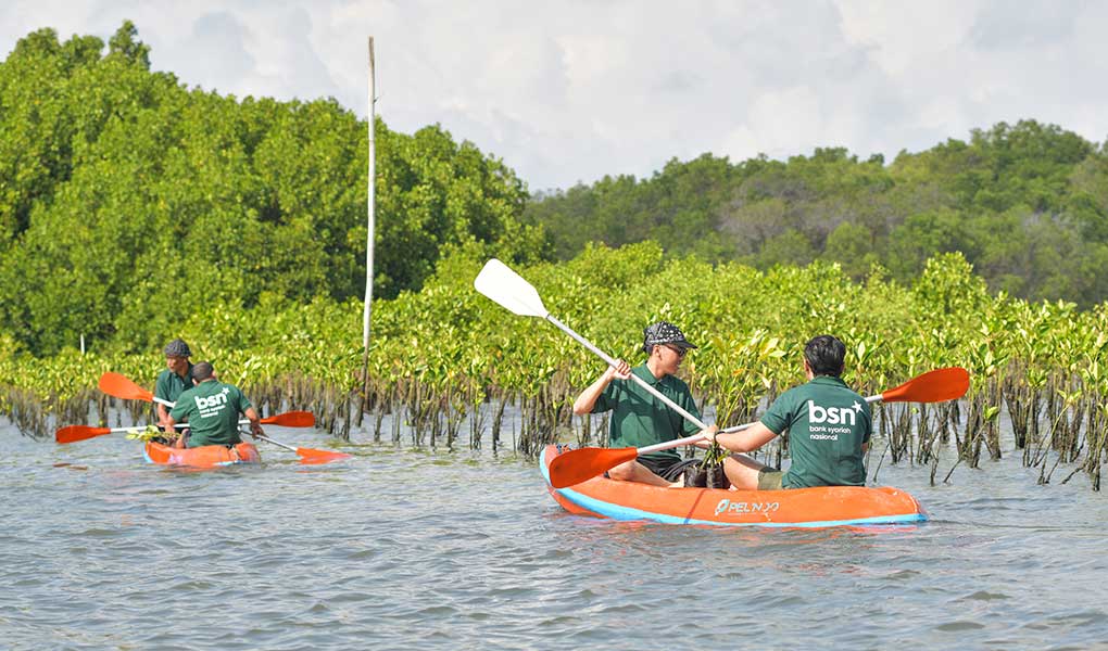 Hari Mangrove Sedunia 2026, Bank BSN Dorong Pelestarian Ekosistem Pesisir