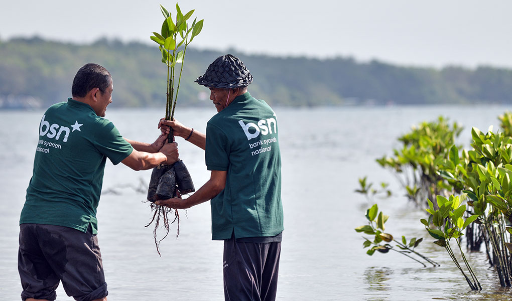 Hari Mangrove Sedunia 2026, Bank BSN Dorong Pelestarian Ekosistem Pesisir